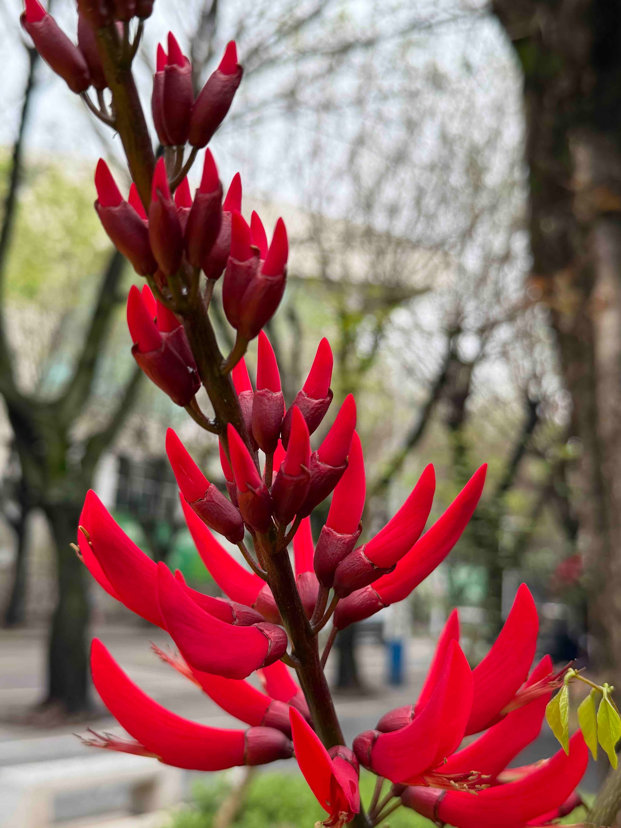 驾考领域组织考试作弊罪量刑规则实证分析-以 30 余份生效刑事判决书为样本